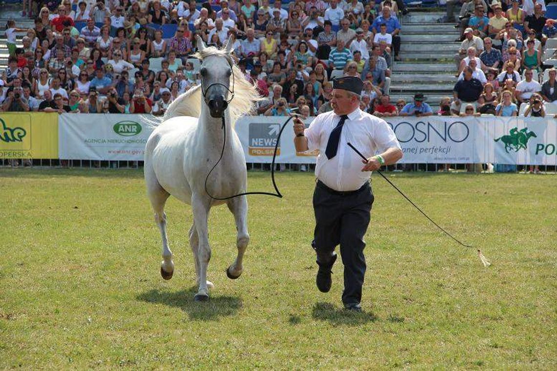 Araby sportu się nie boją