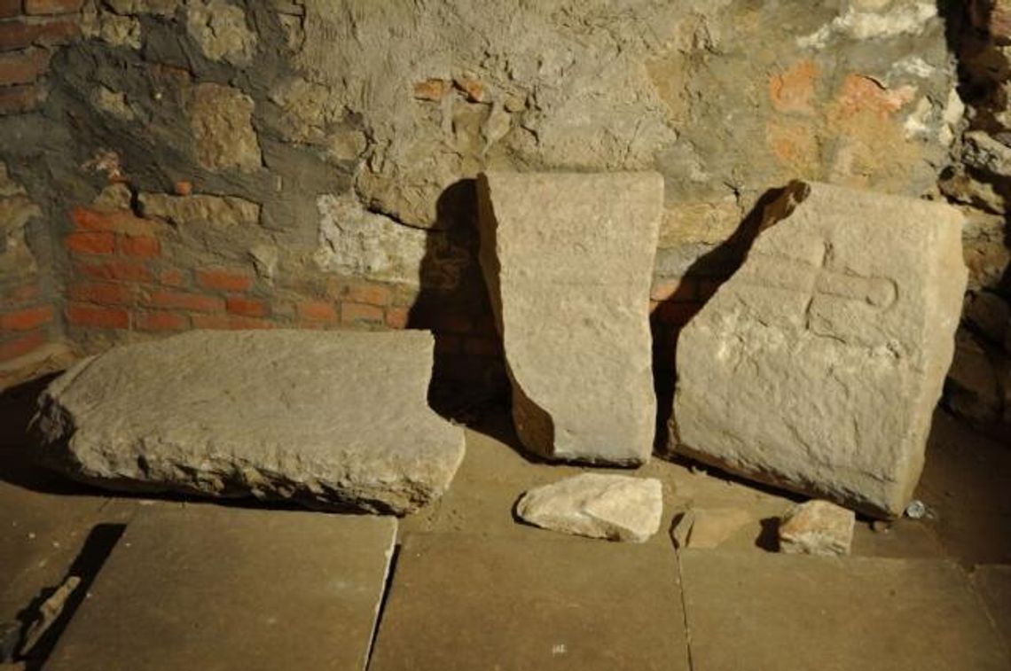 Archeolog z Lublina odkrył nagrobki rycerzy z wypraw krzyżowych (zdjęcia)