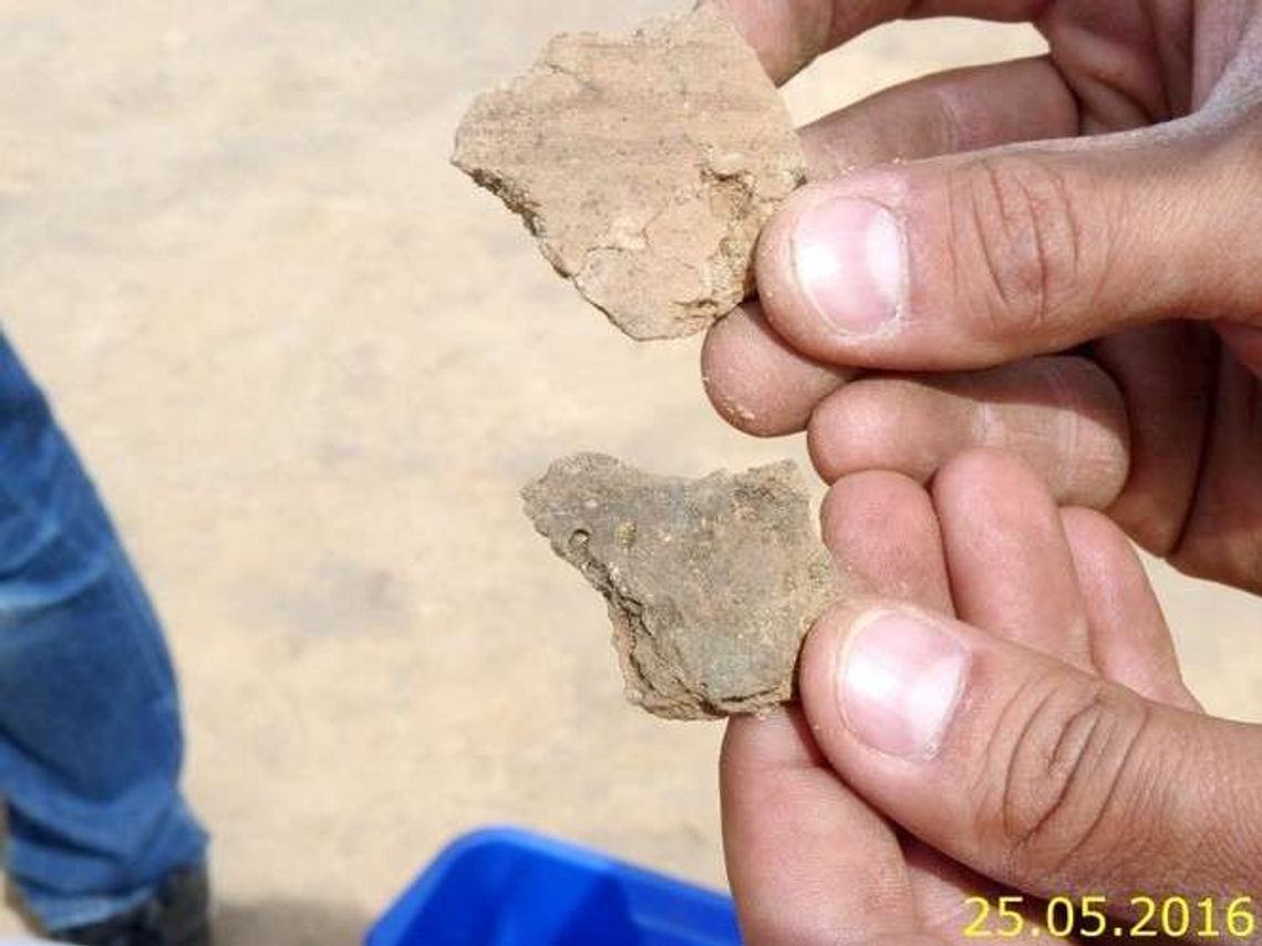 Archeologiczne odkrycie na budowie ekspresówki