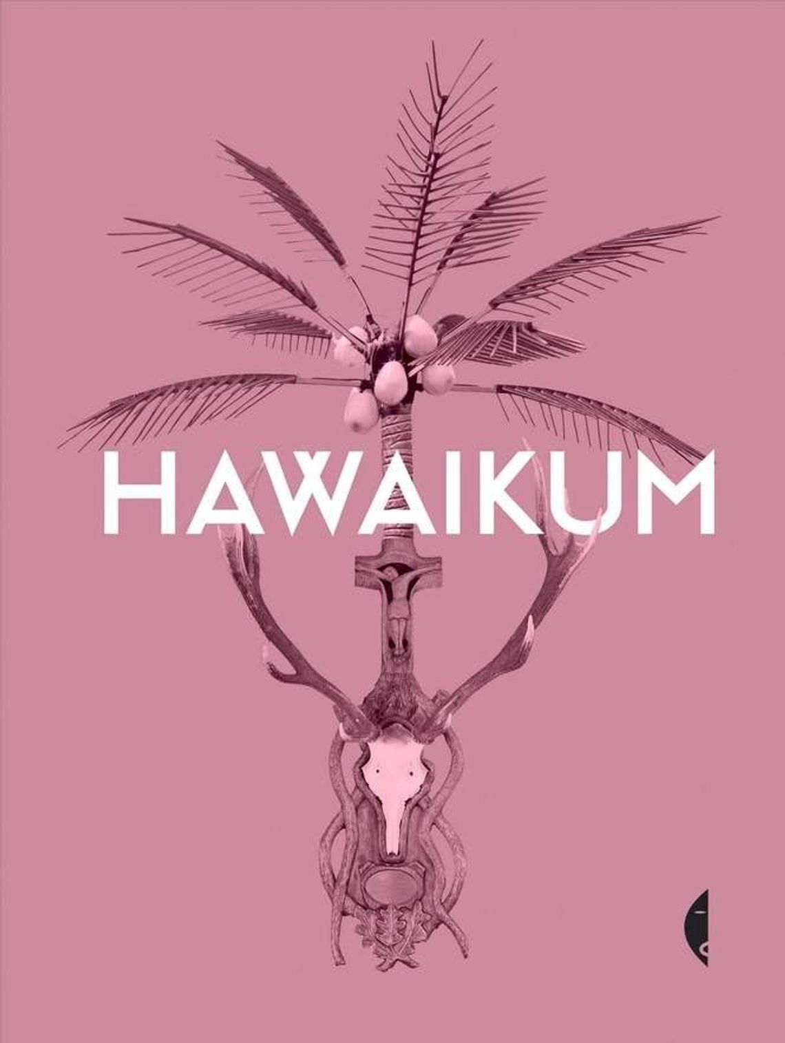 Architekt  o „Hawaikum”