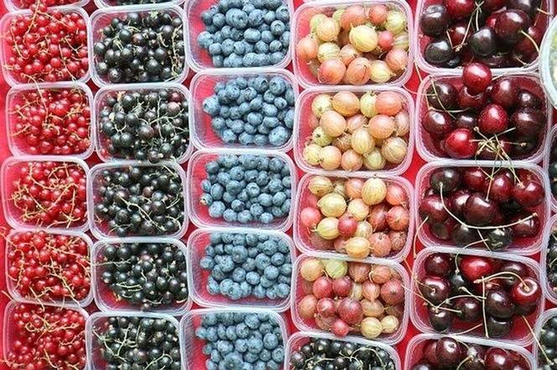 ARiMR: 300 tysięcy złotych na tzw. małe przetwórstwo