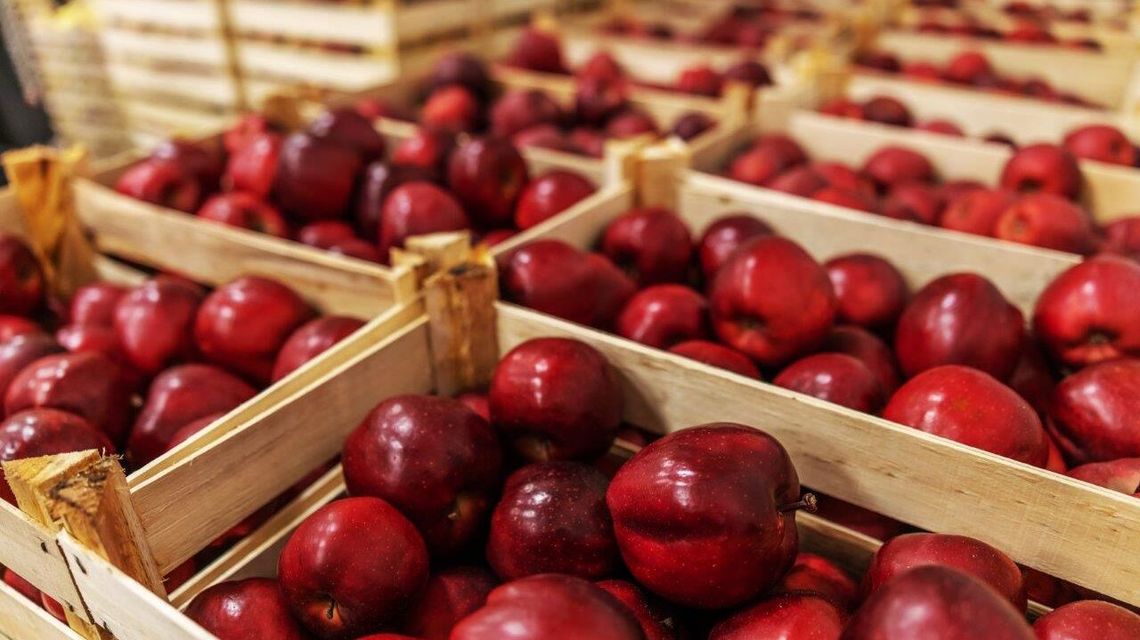 ARiMR ma środki na inwestycje zwiększające konkurencyjność gospodarstw! ARiMR ma środki na inwestycje zwiększające konkurencyjność gospodarstw!