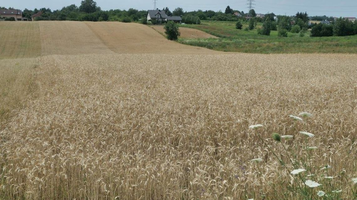 ARiMR: Trwają nabory wniosków na popularne w Lubelskiem działania