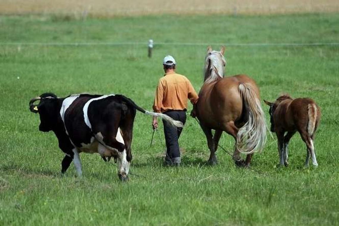 ARiMR. Zmiany w zasadach unijnej pomocy dla rolników
