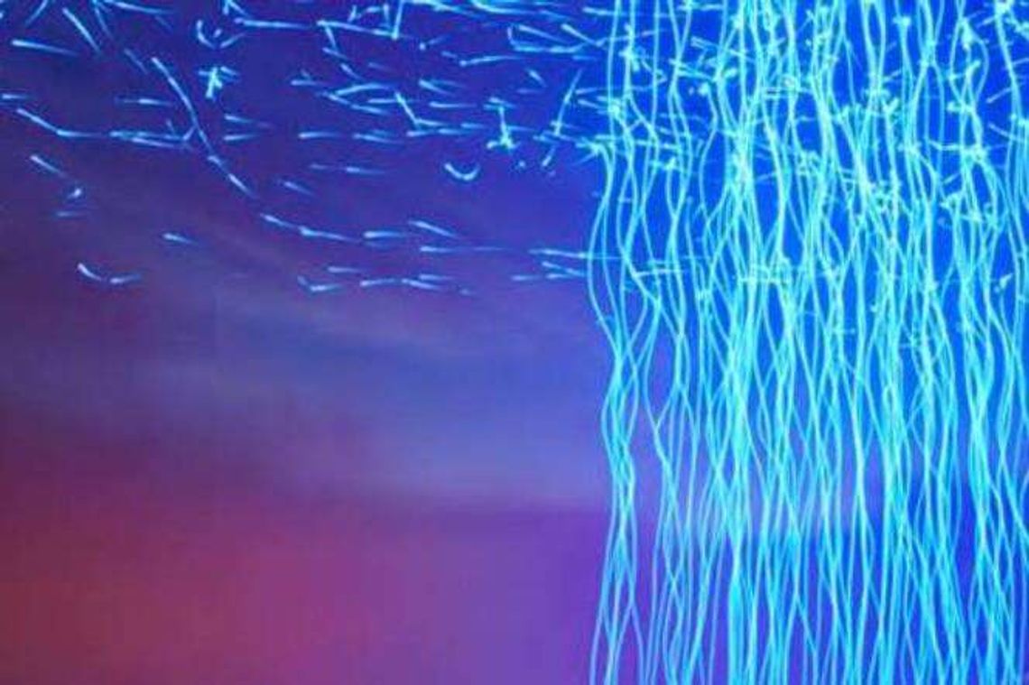 "Ars Electronica" - pokaz filmów w Labiryncie