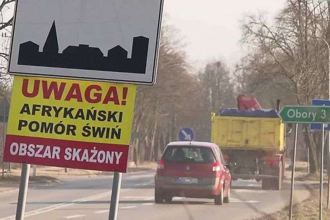 ASF w Polsce. Na granicy stanie ogrodzenie. „Płot używany będzie przeciwko zielonym ludkom”