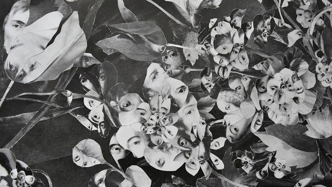 "Atlas chwastów" - wystawa w Labiryncie