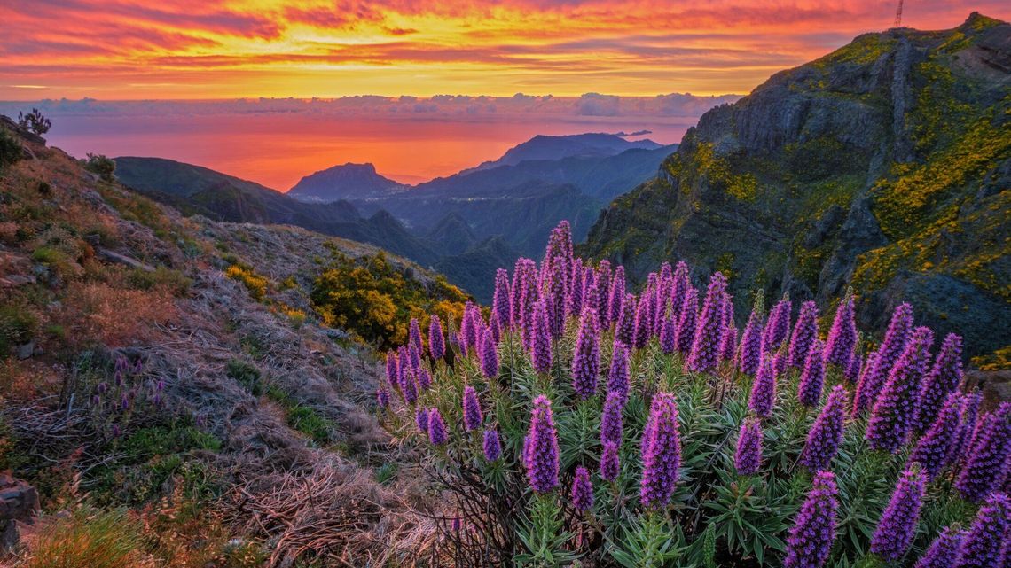 Atrakcje poza sezonem w Portugalii - które warto mieć na uwadze?