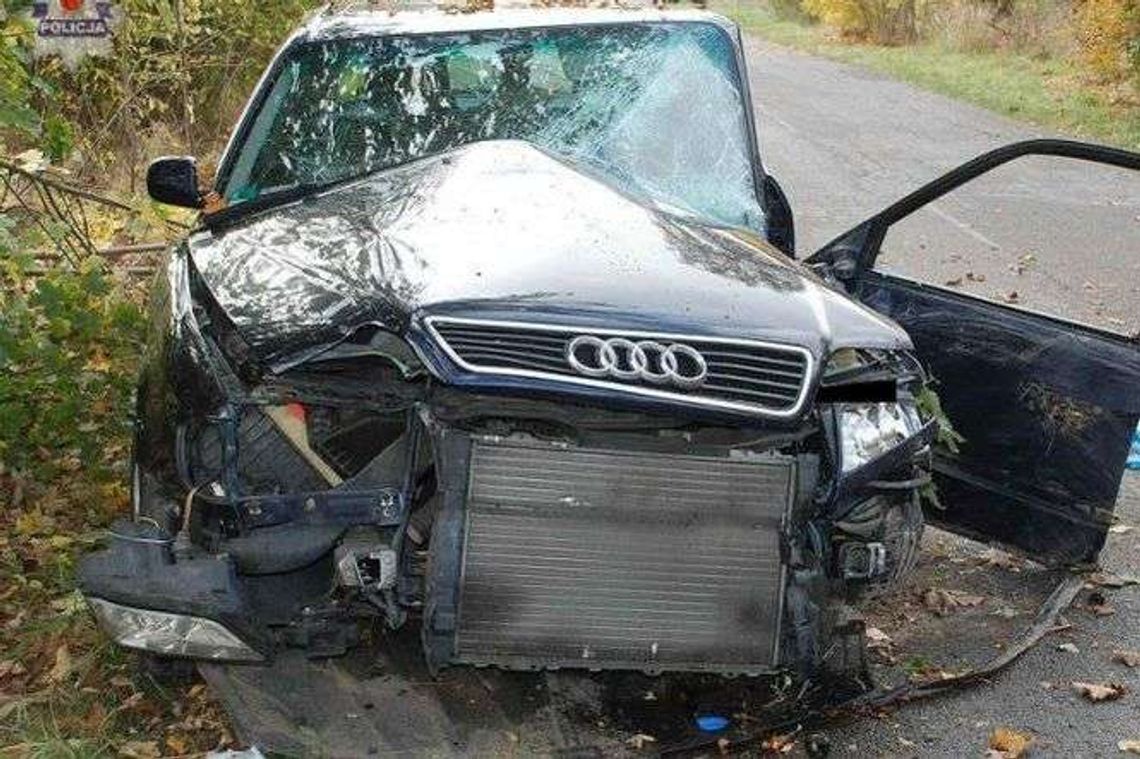 Audi rozbite na drzewie. Dwie osoby w szpitalu