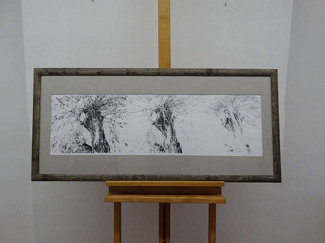 Aukcja na rzecz czworonożnych podopiecznych Fundacji Ex Lege