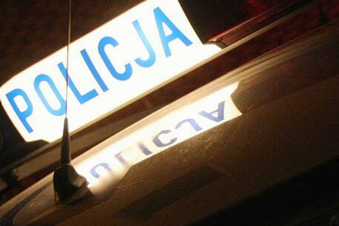 Auto zderzyło się z łosiem na obwodnicy Kraśnika