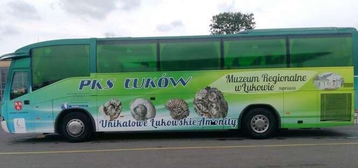 Autokar PKS Łuków z amonitami. Tak promują muzeum