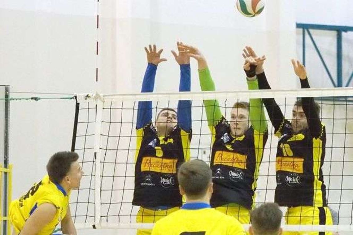 Avia buduje skład. Na początek środkowi Avia buduje skład. Na początek środkowi