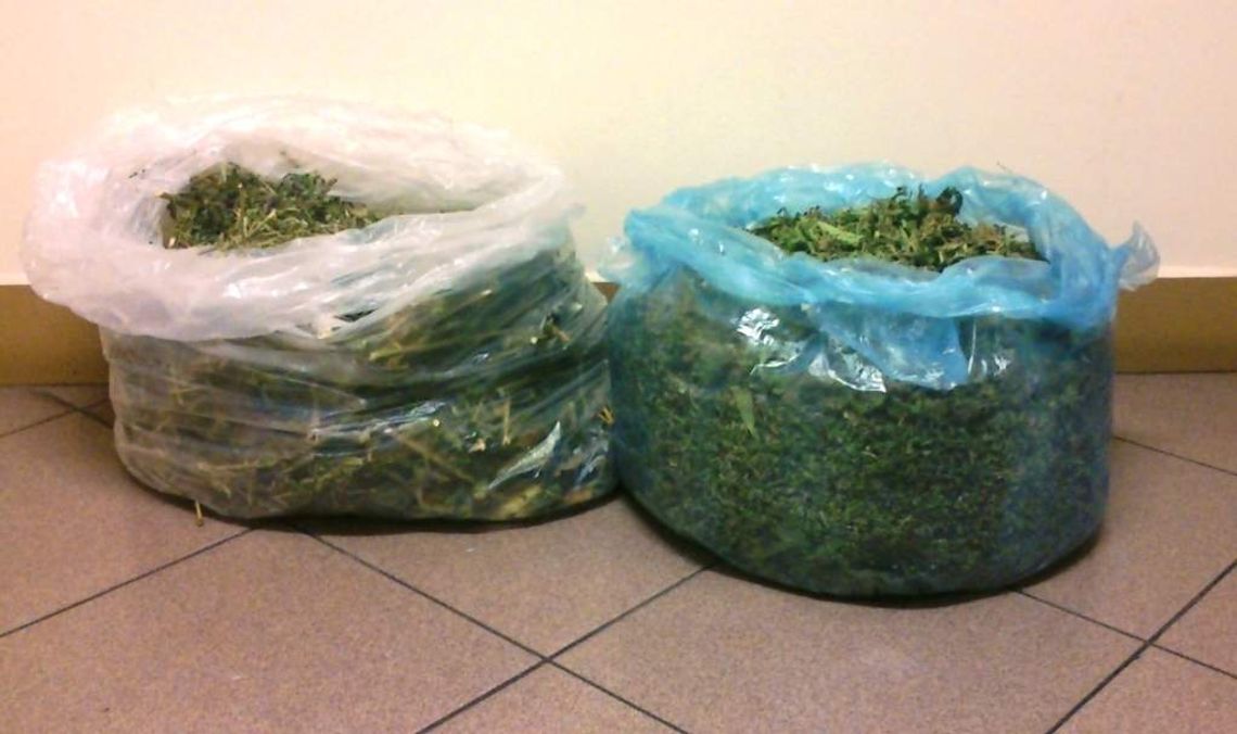 Awanturnik wpadł z narkotykami