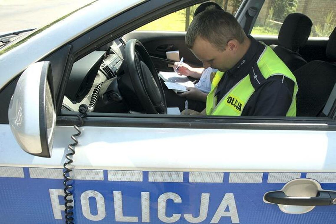 Awanturnik zakończył jazdę w zaroślach