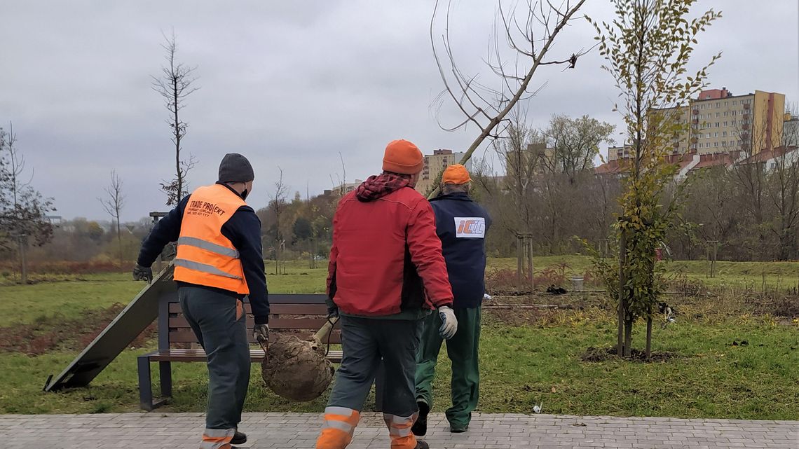 Aż 160 drzew uschło w parku w Lublinie, a otwarto go zaledwie dwa lata temu