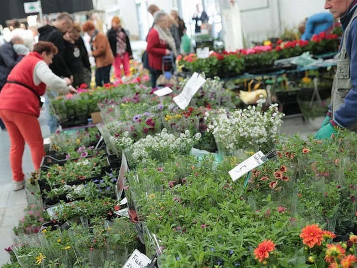 Aż trzy imprezy w Targach Lublin, w tym kiermasz ogrodniczy Aż trzy imprezy w Targach Lublin, w tym kiermasz ogrodniczy