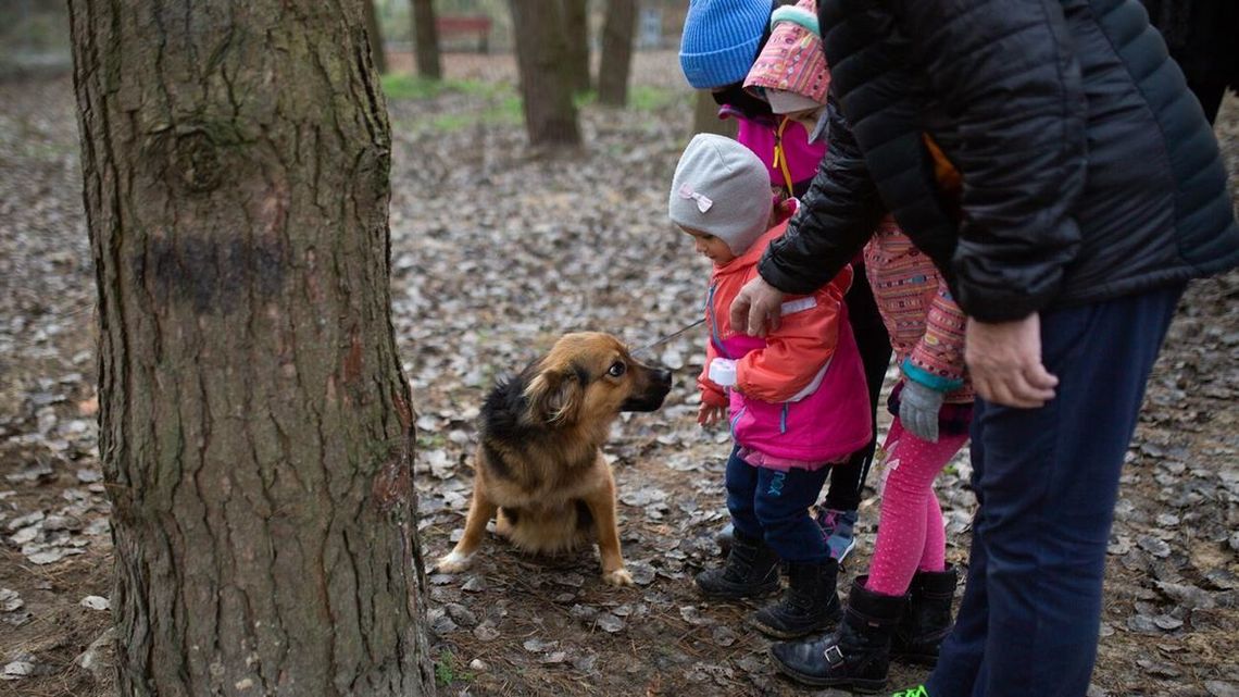 "Azyl" co roku wygrywa konkurs. Przewodniczący rady miasta apeluje o zmianę regulaminu