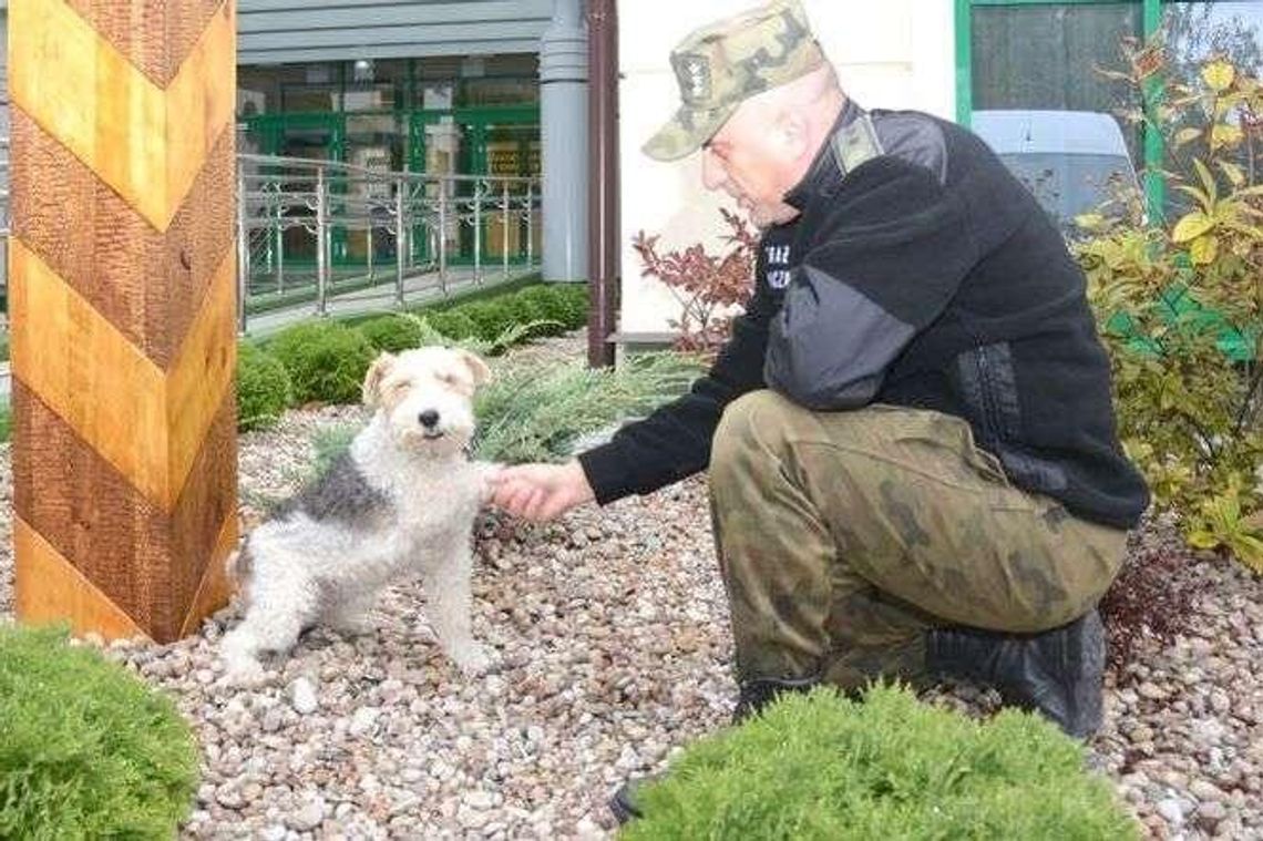 Bajtek odchodzi na emeryturę. Foksterier pracował 11 lat w Straży Granicznej