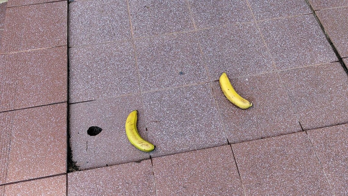 Banany porozrzucane po szkole. Dyrektor w szoku: „Nasi uczniowie tak postępują z żywnością” 