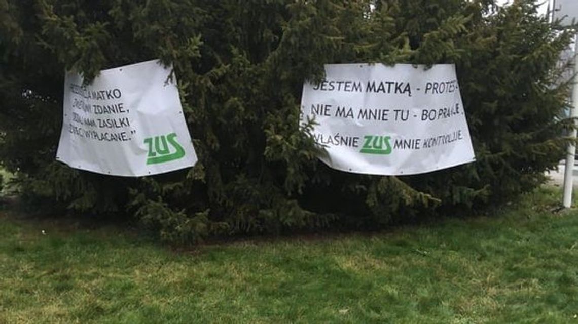 Banery z hasłami zawisły na choinkach przed ZUS w Lublinie. To protest matek Banery z hasłami zawisły na choinkach przed ZUS w Lublinie. To protest matek
