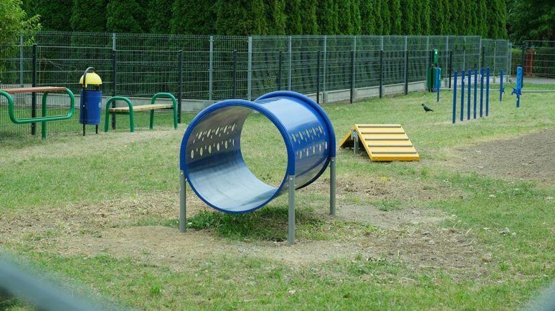 Bankomat nasion czy wybiegi dla psów? W Świdniku mają zdecydować mieszkańcy