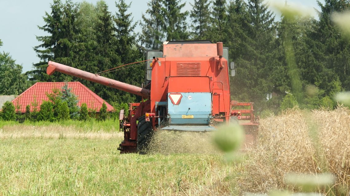 Bardzo duże zmiany na wsi przez 500 plus. Lubelskie nadal stoi burakiem Bardzo duże zmiany na wsi przez 500 plus. Lubelskie nadal stoi burakiem