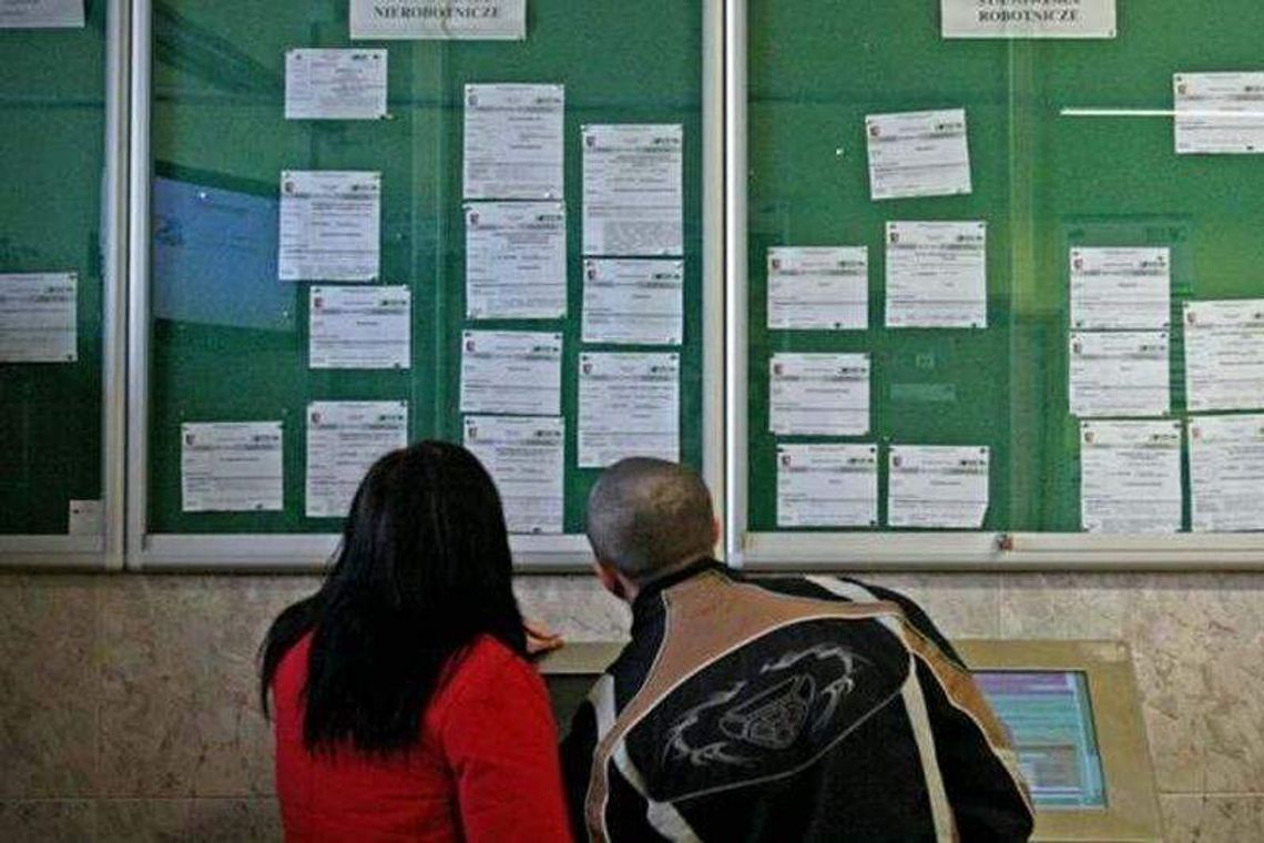 Bardzo dużo chętnych na staże. Pośredniaki wydadzą więcej pieniędzy