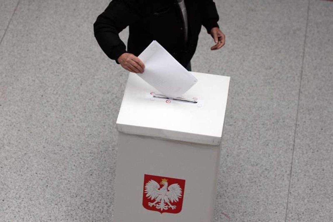 Bardzo wolne wybory. Rozmowa z prof. Andrzejem Podrazą Bardzo wolne wybory. Rozmowa z prof. Andrzejem Podrazą