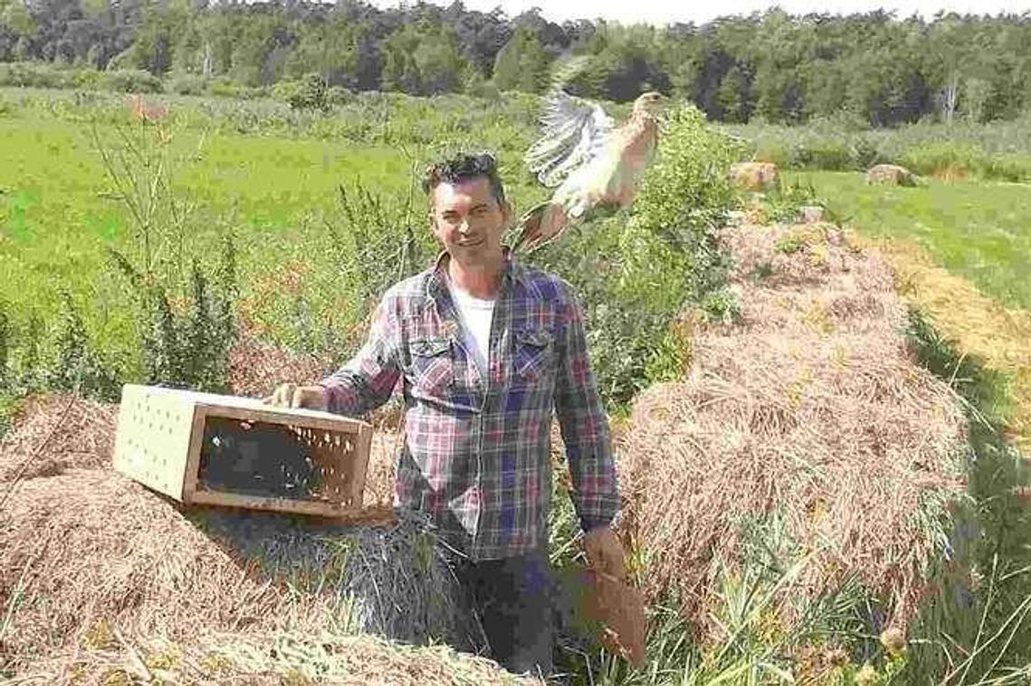 Bażantów było za mało. Myśliwi wypuścili 1,5 tysiąca ptaków