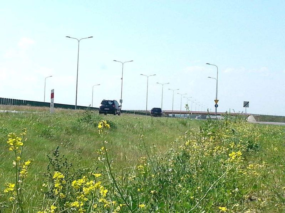 Będą kosić S17, ale po przetargu