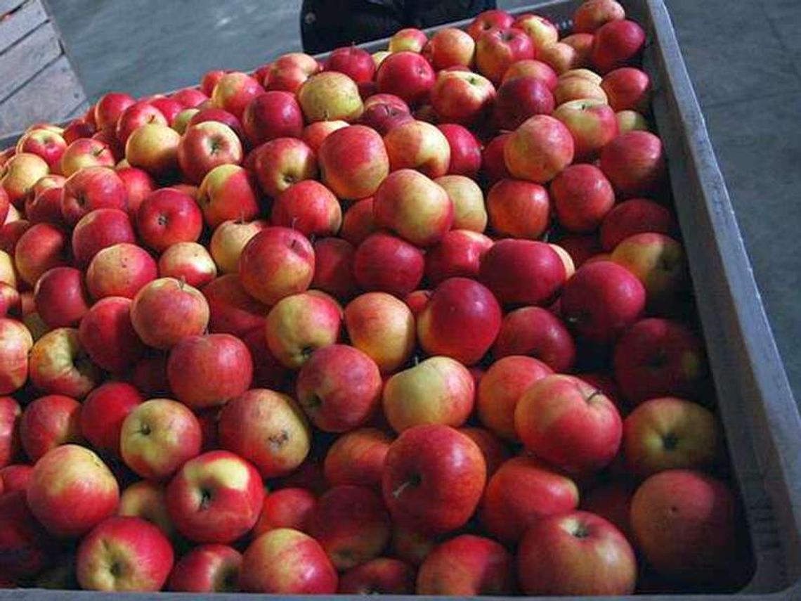 Będą nowe miejsca pracy w Janowie Lubelskim Będą nowe miejsca pracy w Janowie Lubelskim