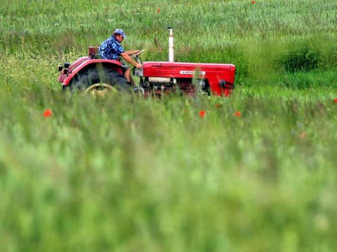Będą pieniądze dla rolników na unowocześnienie gospodarstw Będą pieniądze dla rolników na unowocześnienie gospodarstw