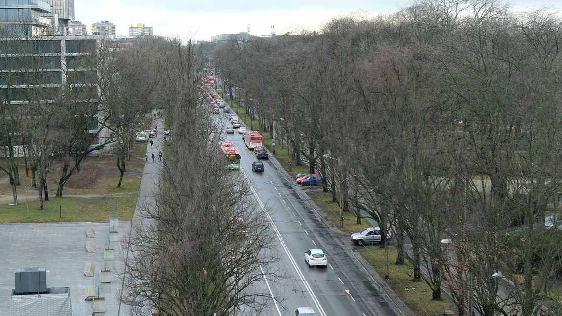 Będą przesuwać chodniki i drogi rowerowe żeby ocalić jak najwięcej drzew przy Al. Racławickich