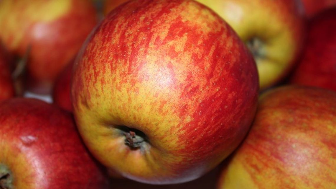 Będą rozdawać jabłka na placu Litewskim Będą rozdawać jabłka na placu Litewskim