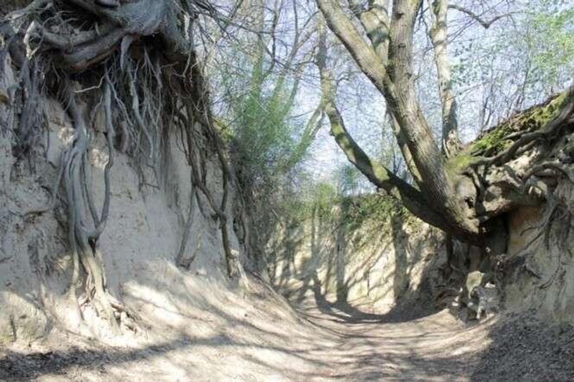 Będzie debata jak chronić Korzeniowy Dół. "Najłatwiej jest krytykować"