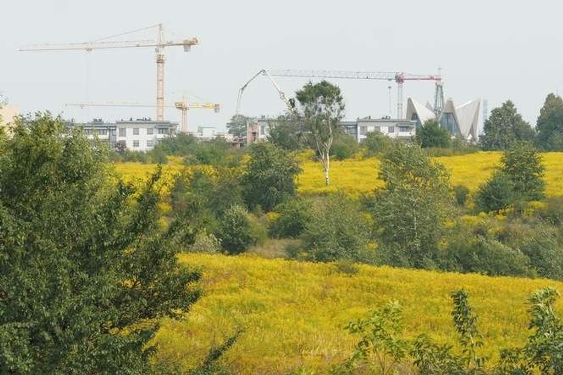 Będzie głośno o górkach czechowskich. PiS chce wstrzymania prac nad nowym planem Będzie głośno o górkach czechowskich. PiS chce wstrzymania prac nad nowym planem