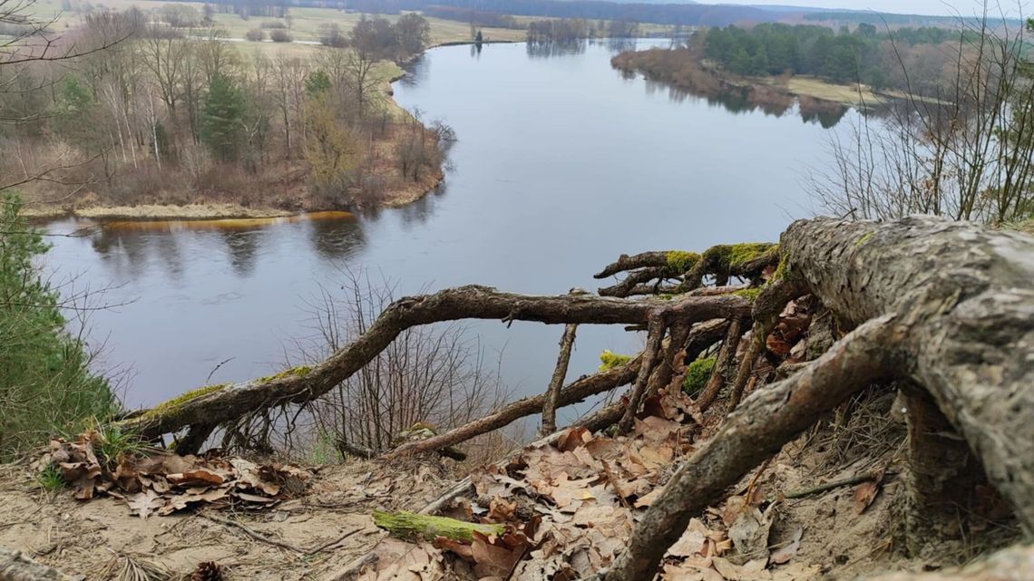 Będzie można podziwiać Bug z wieży widokowej