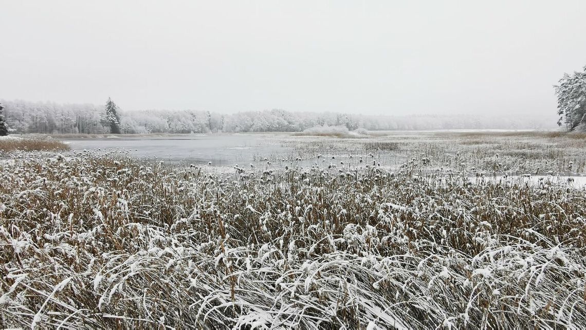 Będzie można popływać w Stawie Echo. Znamy termin pierwszej kąpieli