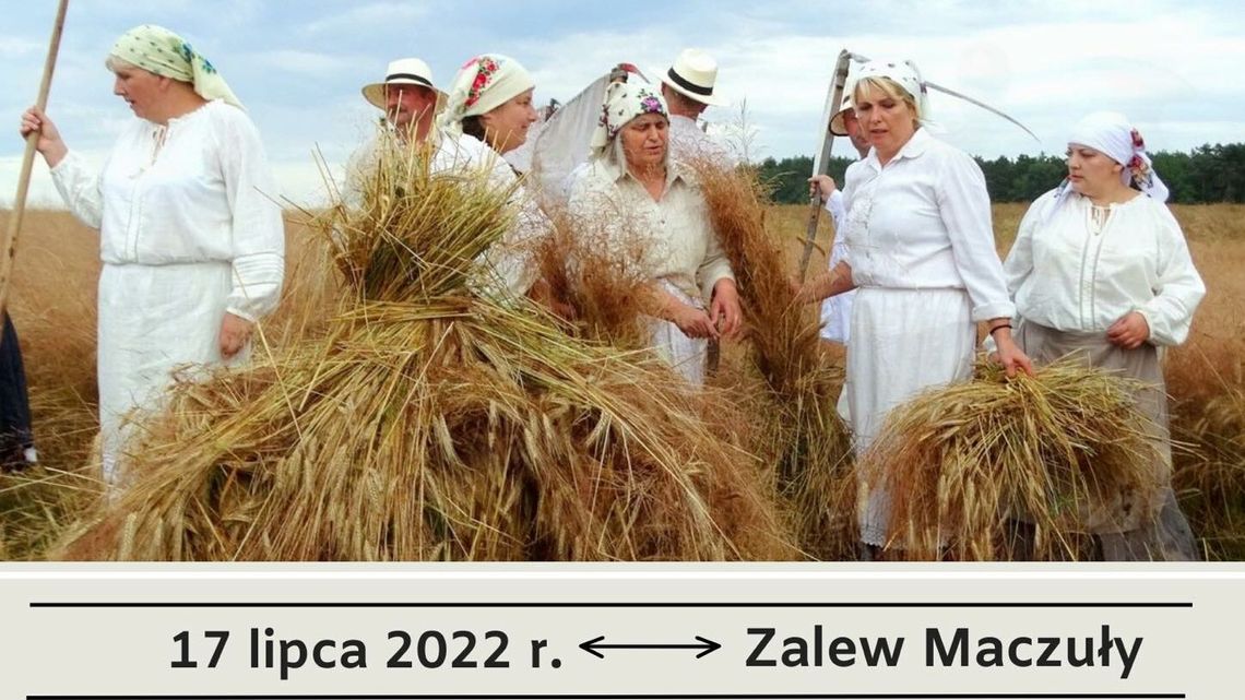 Będzie można samemu wiązać snopki. "Żniwowanie" w Horodysku