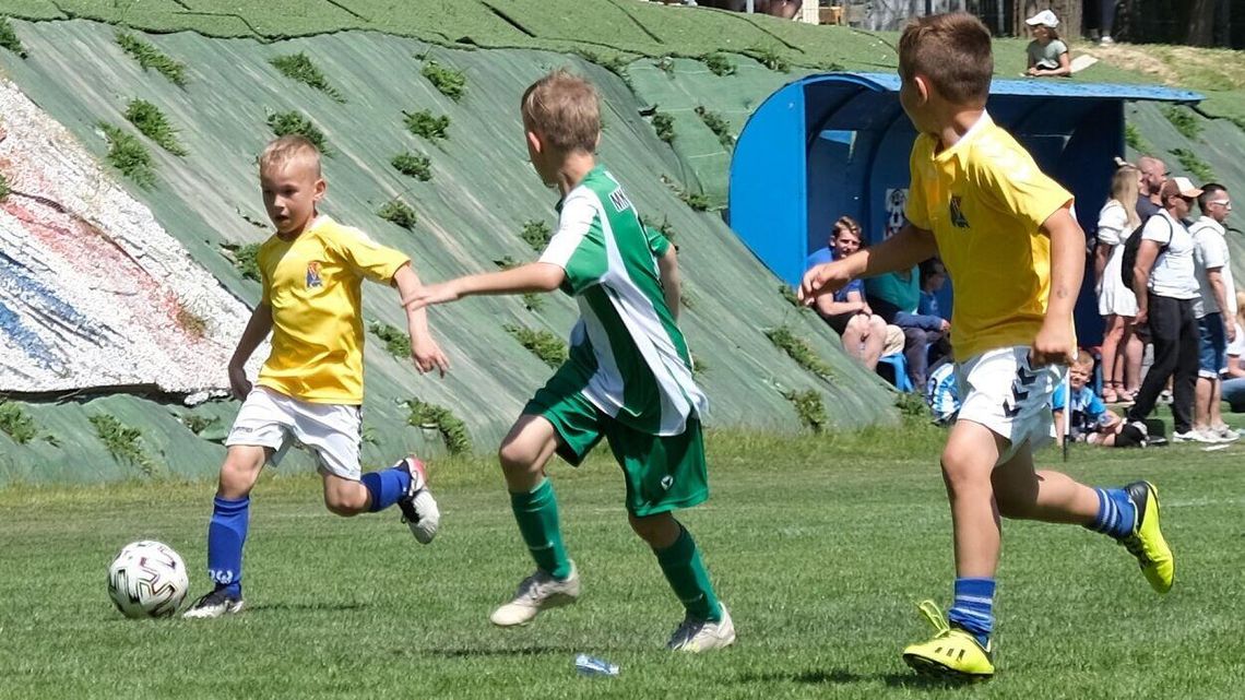 BeKSa Cup 2014. Pod dyktando Avii i Motoru