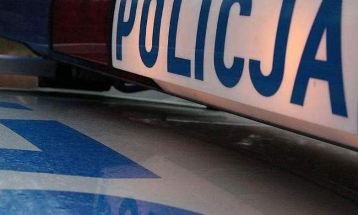 Bełżec: Zobaczyli radiowóz, zaczęli wyzywać policjantów