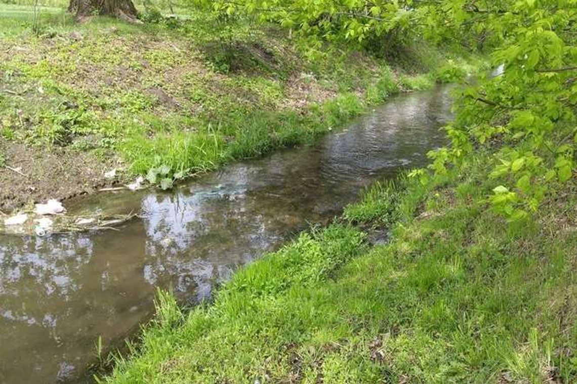 Bełżyce: Ciało mężczyzny znalezione w rzece Bełżyce: Ciało mężczyzny znalezione w rzece