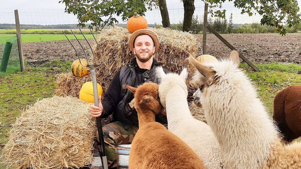 Berlin i szampański Leon na ratunek. Kariera nastawiona na alpaki