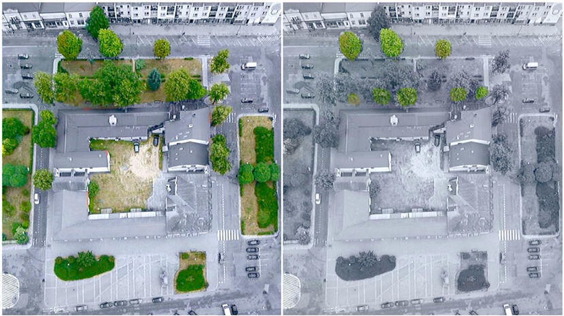 Betonowa kostka zamiast drzew i trawników. Burmistrz zaskoczony protestem Betonowa kostka zamiast drzew i trawników. Burmistrz zaskoczony protestem