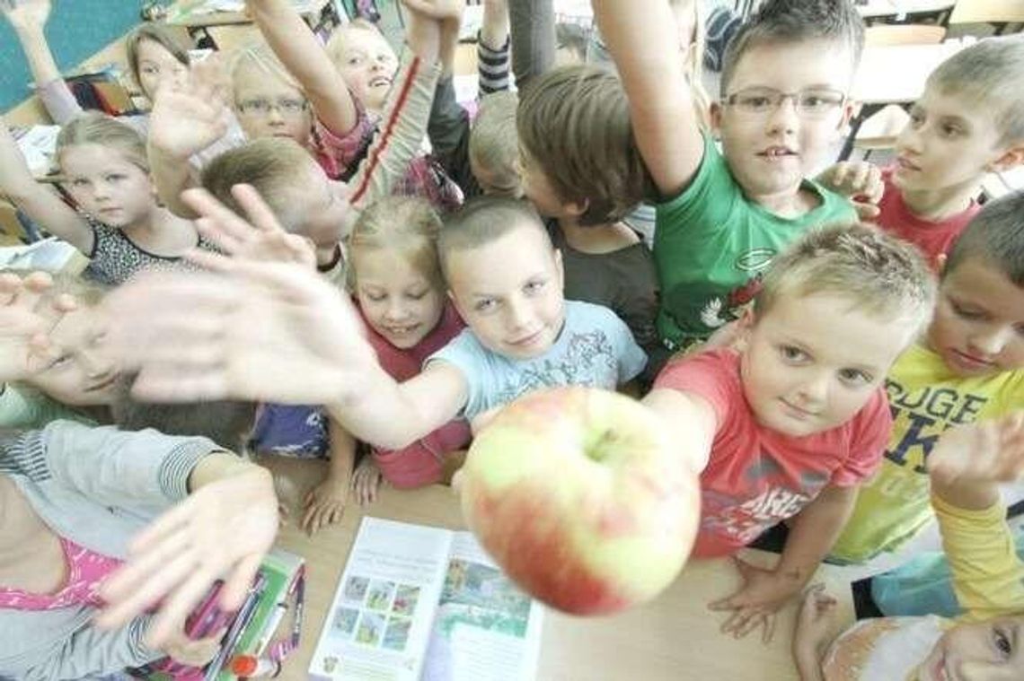 Bez drożdżówki czy ketchupu. Sklepiki szkolne: od września tylko zdrowa żywność
