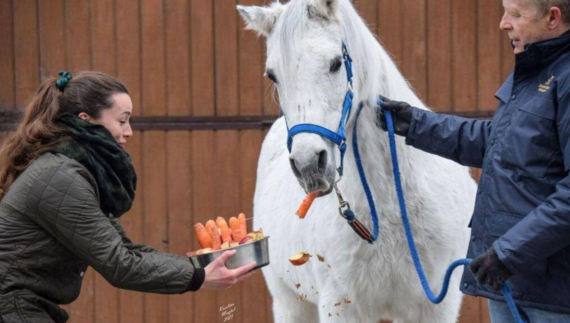 Bez politycznej przeszłości, za to z doświadczeniem w hodowli. 33-letnia nowa szefowa stadniny