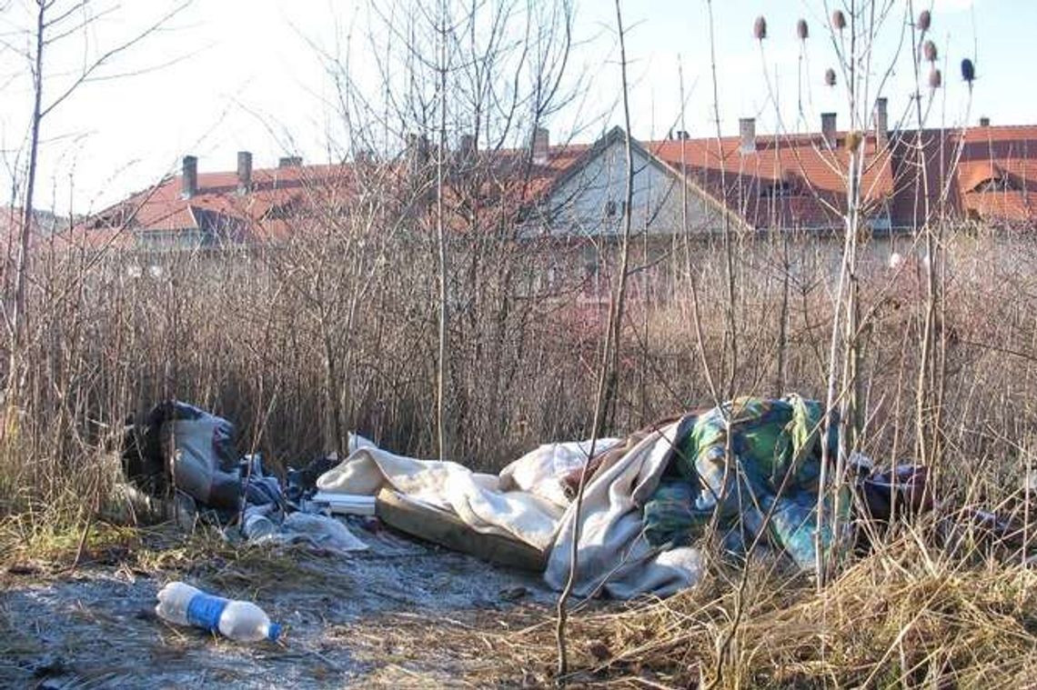 Bezdomni unikają schronisk. Dlaczego wolą zimować w krzakach?