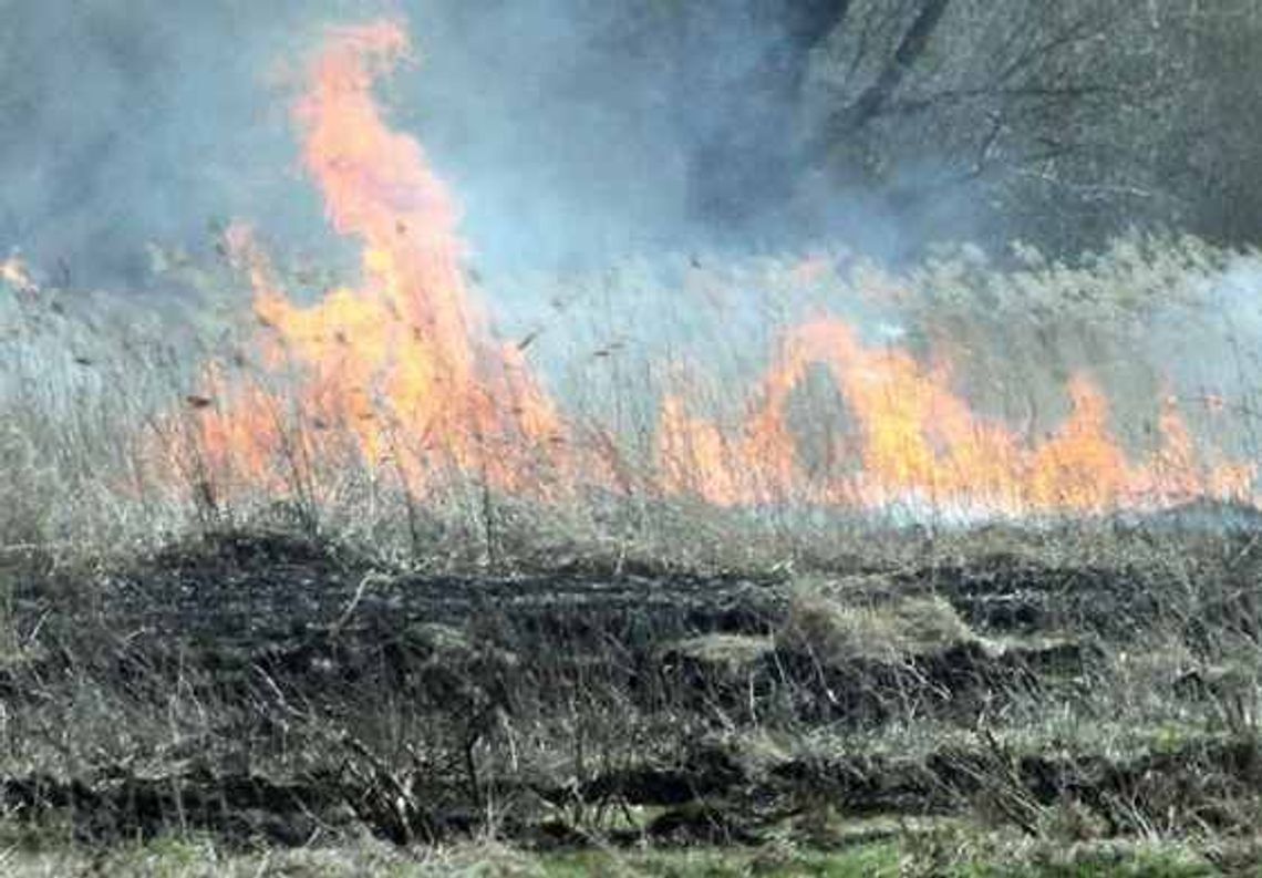 Biała Podlaska: 13-latek ze znajomymi wzniecili pożar dla zabawy