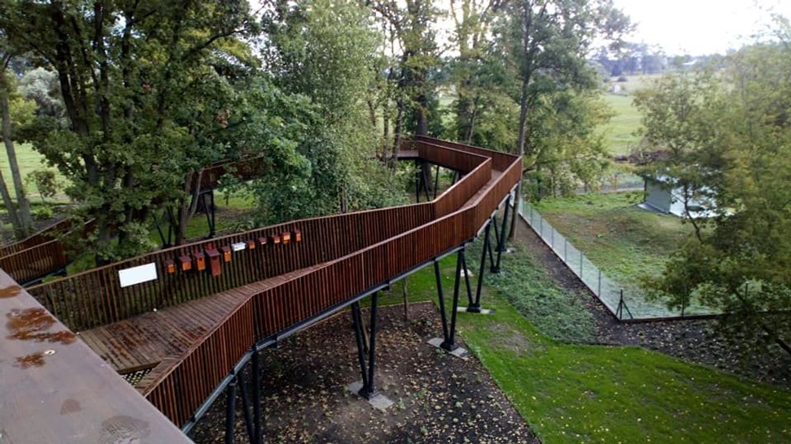 Biała Podlaska: Czy z Małpiego Gaju można już korzystać?